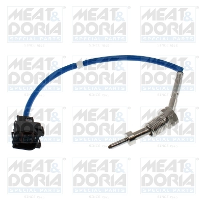 Sensor, exhaust gas temperature